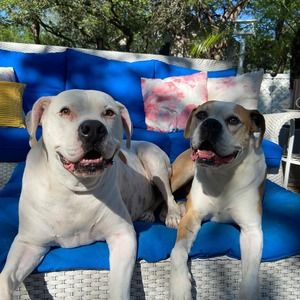 Meet your Posher, Emma